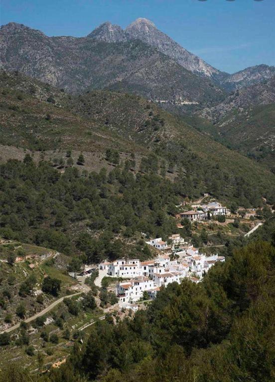 Apartment Estudio Rural El Acebuchal *