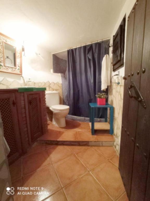 Estudio Rural El Acebuchal Malaga